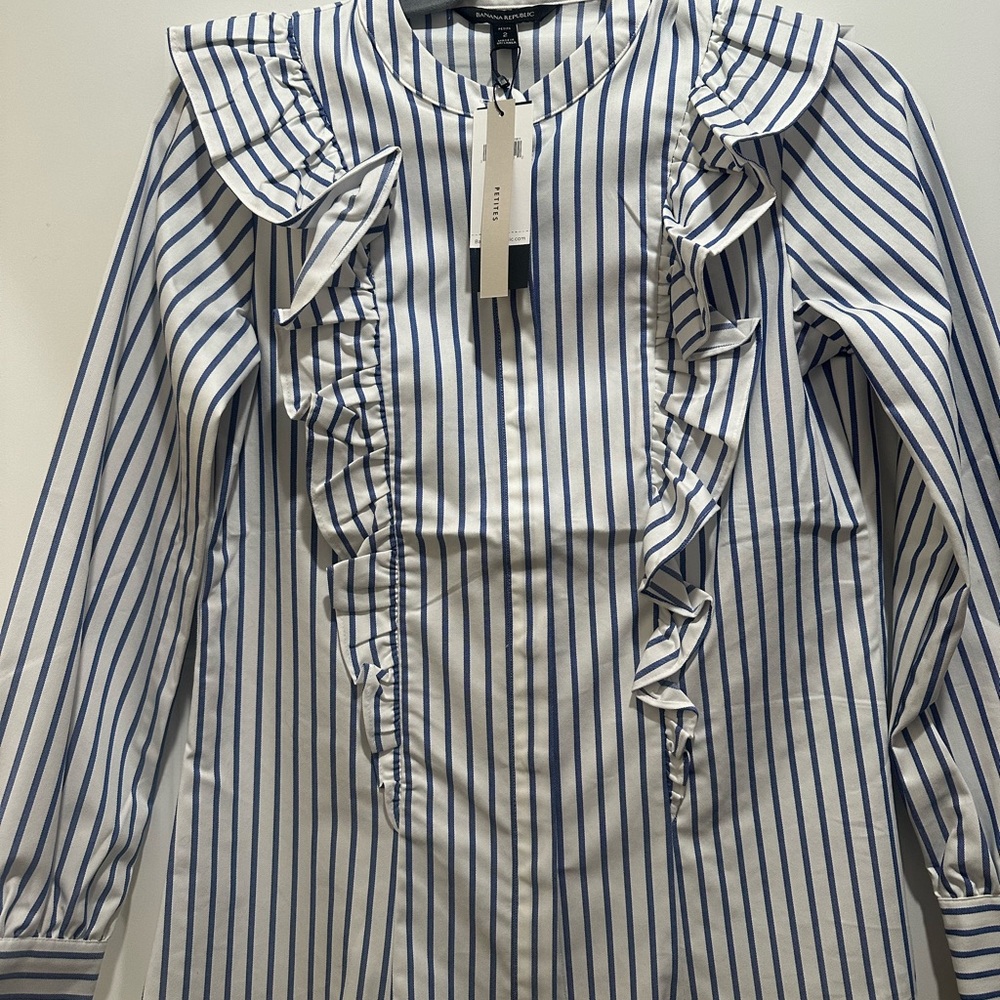 Banana Republic Blue and White Striped Blouse